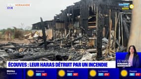 "Comme si on avait subi une bombe": le haras d'Écouves détruit par les flammes