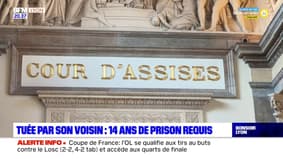 Tuée par son voisin à Lyon à cause du bruit en 2020 : 14 ans de réclusion requis contre l'accusé