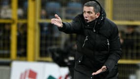 Thierry Laurey