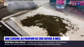 Alpes-Maritimes: une cuisine au parfum de CBD ouvre à Nice