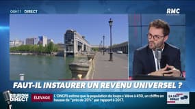 "Vos 30 propositions de loi": faut-il instaurer un revenu universel?