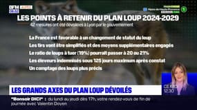 Les grands axes du plan loup dévoilés