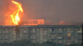 Les flammes à proximité d'un immeuble de Palerme, le 25 juillet 2023 