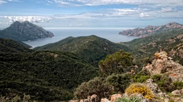 Les Français ont plébiscité les villes corses pour leurs vacances d'été 2016.