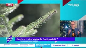 On n'arrête pas le progrès : Quel est votre sapin parfait ? - 12/12