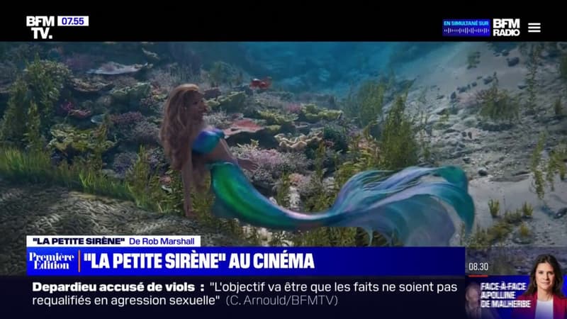 La Petite Sirene en prise de vues reelles sort au cinema ce mercredi 1642433