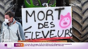 "La guerre des prix doit stopper" : les agriculteurs réclament une aide financière de l'État