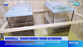Transformer l'urine en engrais, le pari lancé par une start-up marseillaise