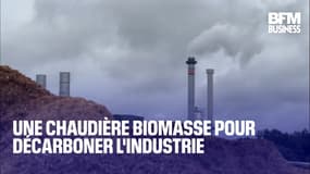 Une chaudière biomasse pour décarboner l'industrie 