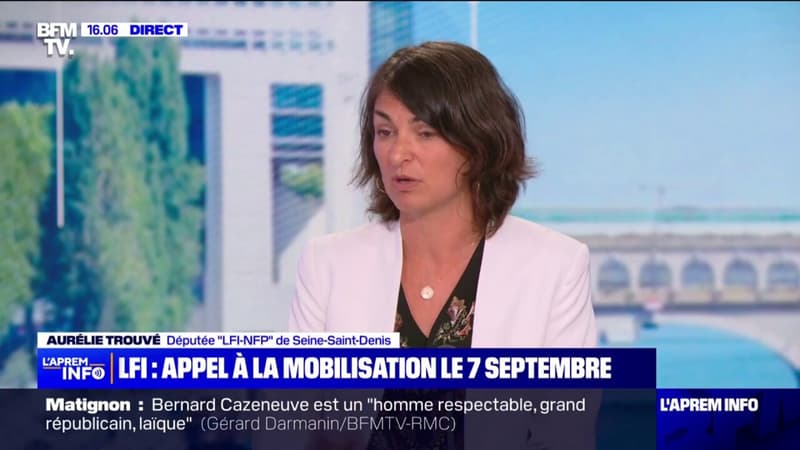 Aurélie Trouvé (LFI-NFP): 