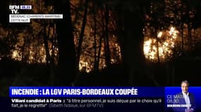 Un incendie de forêt en Charente-Maritime provoque le déroutement de la LGV Paris-Bordeaux