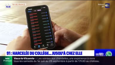 Essonne: victime de harcèlement scolaire et de cyberharcèlement, un collégienne porte plainte