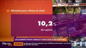 Les aliments pour chiens et chats face à des ruptures 
