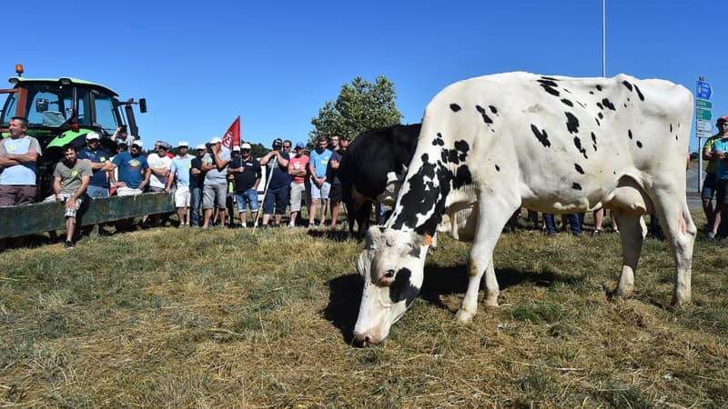 Des producteurs laitiers manifestent devant le siège de Lactalis depuis lundi.