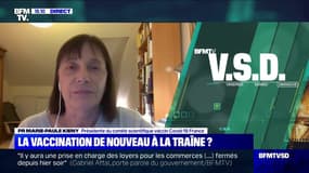Vaccination: "Il y a eu des effets secondaires mais ces campagnes se sont bien passées", selon la présidente du comité scientifique vaccin Covid-19 France