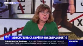 Crise agricole: "C'est grave qu'au bout de tant de mois rien ne soit fait", regrette Maria Da Silva (Fédération des marchés de France)
