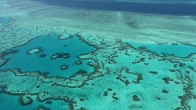 Vue aérienne de la Grande Barrière de corail, en novembre 2014 près des îles Whitsunday, en Australie