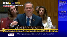 Guerre à Gaza: l'ambassadeur des États-Unis à l'ONU déplore une "litanie de réunions" sans avancée