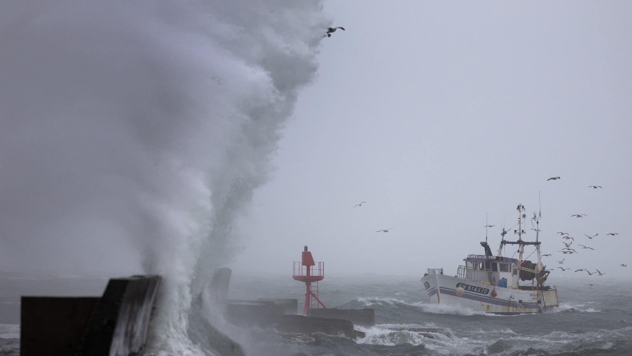 Tempête Benjamin: fortes vagues, chutes d'arbres... Les images impressionnantes des intempéries qui frappent la France