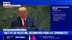 Guerre en Ukraine: "Il faut que les Européens mettent fin à l'achat de gaz et de pétrole russe", affirme Donald Trump