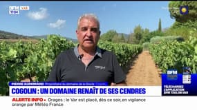 Var: un an après l'incendie de Gonfaron, un domaine viticole de Cogolin se reconstruit