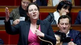 Cyrielle Chatelain à l'Assemblée nationale le 17 février 2023