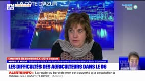 "L'agriculteur qui ne prend pas en compte l'environnement va se trouver marginalisé", estime Mireille Auda, trésorière de la FDSEA des Alpes-Maritimes 
