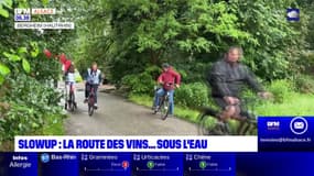 Alsace: la 10e édition du Slowup moins plébiscitée en raison de la pluie