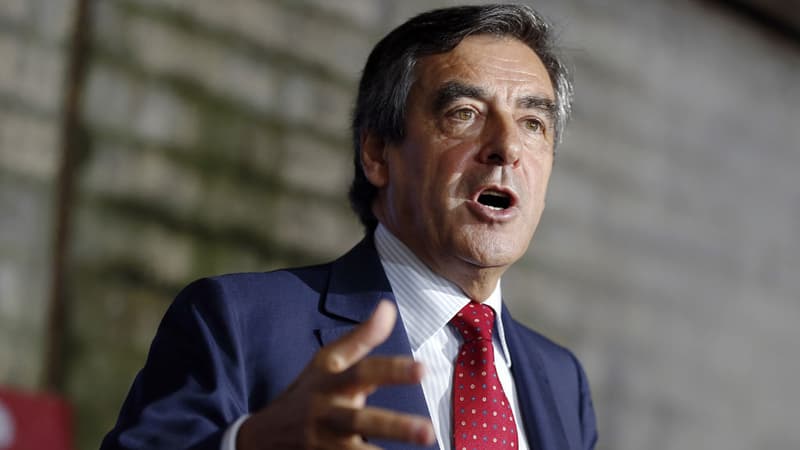 François Fillon pointe "la part de responsabilité" des Verts dans la mort de Rémi Fraisse.