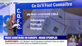 Pass sanitaire: qu'en est-il dans les autres pays d'Europe ?