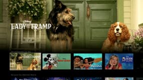 La nouvelle version de La Belle et le Clochard