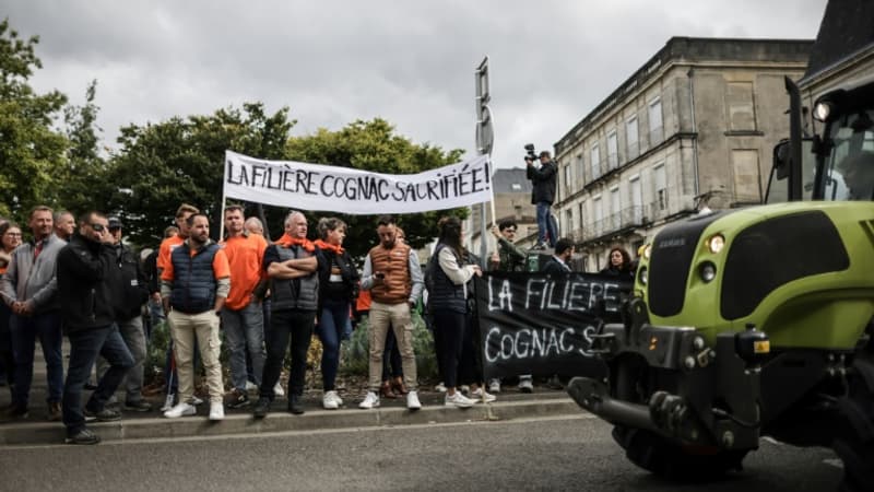 Cognac contre voitures: Pékin lèvera ses sanctions sur l'alcool français si l'Europe lève les siennes sur les véhicules électriques chinois
