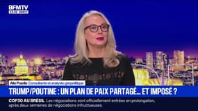 "Plan de paix" en Ukraine: "Quand on regarde ce plan, rien n'a changé depuis", déclare Alla Poedie, consultante et analyste géopolitique