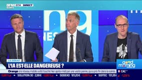 Stéphane Pedrazzi face à Anthony Morel : L'IA est-elle dangereuse ? - 31/05