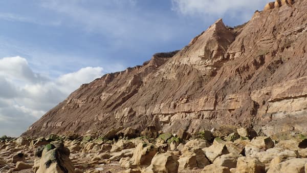 Vue des falaises près de Hastings, où les empreintes ont été découvertes. Vue des falaises près de Hastings, où les empreintes ont été découvertes.