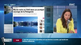 Une marée noire déversée dans les eaux parmi les plus pures du monde
