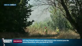 L'Hérault et Argelès-sur-Mer touchés par deux feux désormais maîtrisés 
