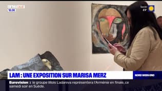 Lille: une exposition dédiée à Marisa Merz au Lille métropole Musée d'art moderne