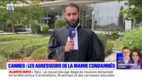 Octogénaire agressée à Cannes: son avocat attendait "plus de fermeté" de la décision de justice