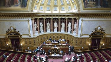 Le Sénat dispose d'une situation financière plus confortable que celle de l'Assemblée