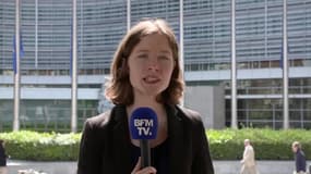 Quelle est la famille politique de Macron au Parlement Européen ?