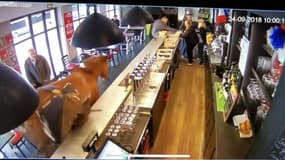 Une jument a fait irruption dans un café à Chantilly.