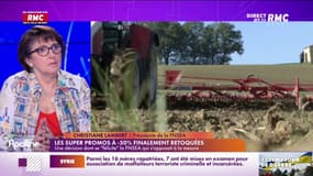 Lambert : "Ce n'est pas aux agriculteurs français de se mettre dans le rouge pour certains"