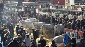 Vue du Salon de l'Agriculture, le 24 février 2018