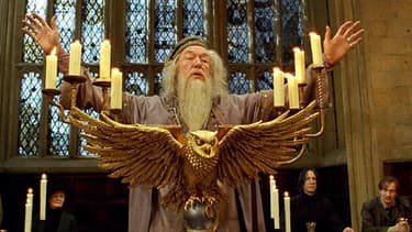 Albus Dumbledore, le directeur de Poudlard dans la saga "Harry Potter"