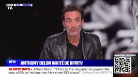 Anthony Delon sur sa sœur Anouchka: "Si elle veut être auprès [d'Alain Delon], elle n'a qu'à revenir à Douchy"