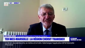 TER Nice-Marseille: le vice-président de la région explique le choix de Transdev