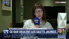 "Nous sommes des bénévoles qui essaient de donner la parole aux Français" explique cette représentante des gilets jaunes