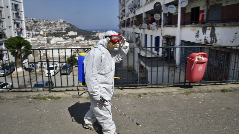 Un employé municipal d'Alger désinfecte la rue dans le quartier de Bab el-Oued (PHOTO D'ILLUSTRATION)