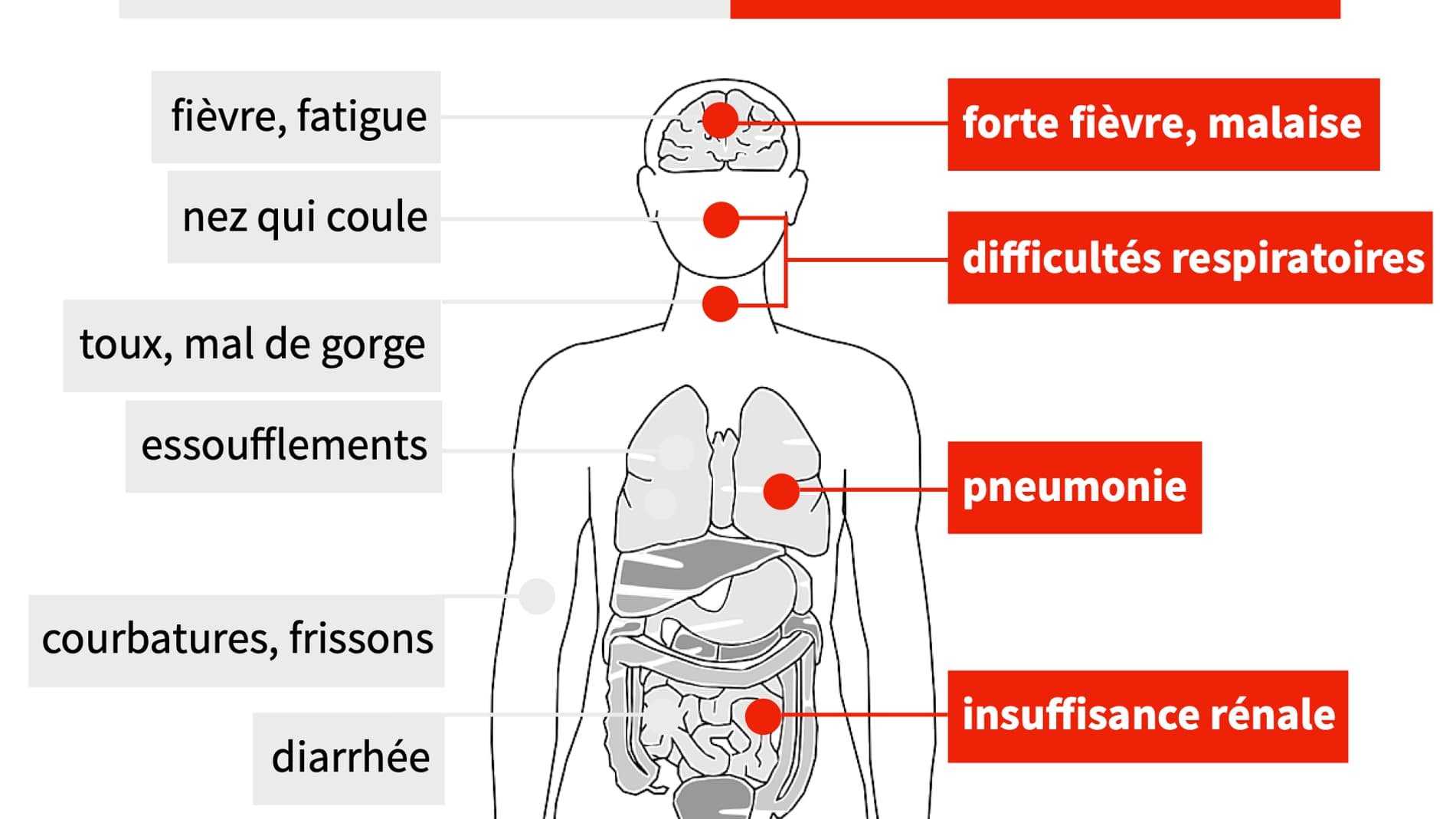 coronavirus.jpg